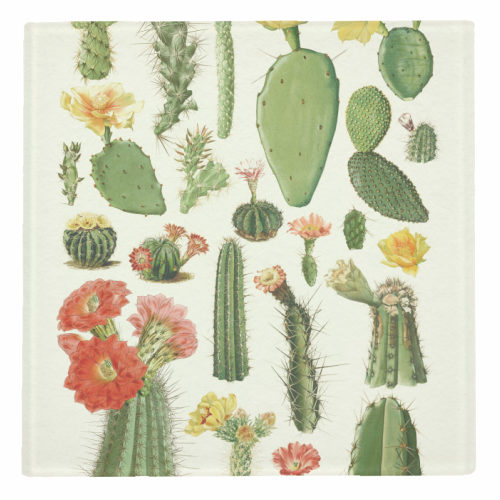 Cacti Collection - personalised beer coaster by Gal Design