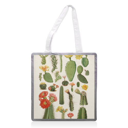 Cacti Collection - printed canvas tote bag by Gal Design