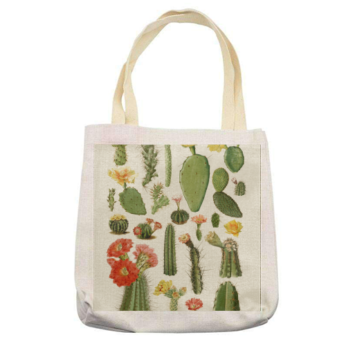 Cacti Collection - printed canvas tote bag by Gal Design