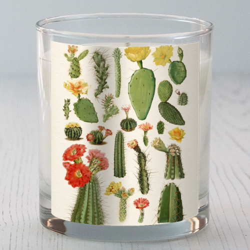 Cacti Collection - scented candle by Gal Design