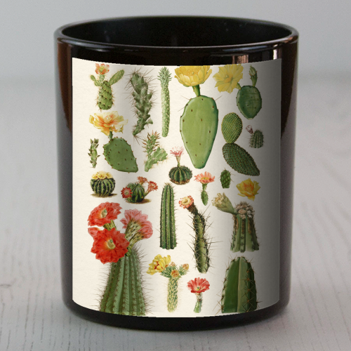 Cacti Collection - scented candle by Gal Design