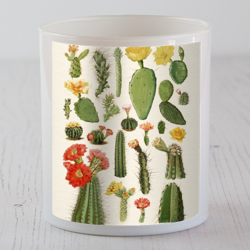 Cacti Collection - scented candle by Gal Design