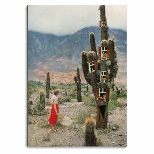 Cactus fairies - personalised A4, A5, A6 notebook by Maya Land