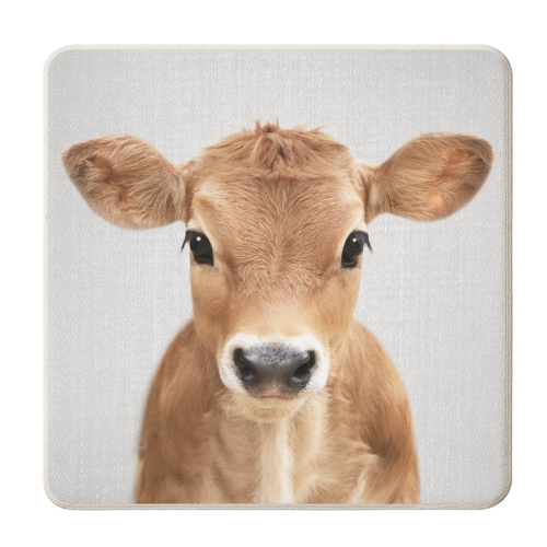 Calf - Colorful - personalised beer coaster by Gal Design