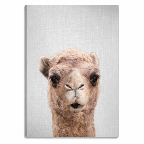Camel - personalised A4, A5, A6 notebook by Gal Design