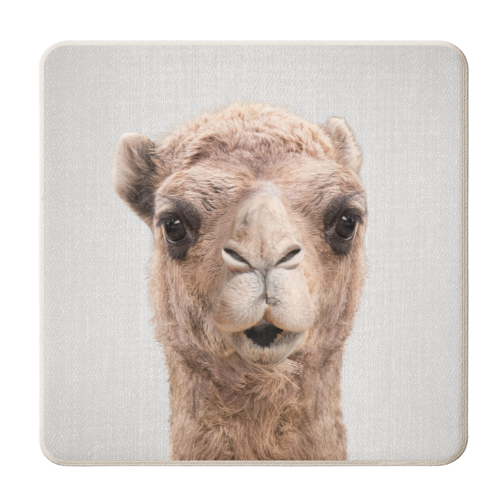 Camel - personalised beer coaster by Gal Design