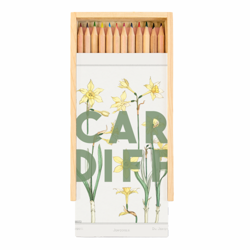 Cardiff - Coloured Pencils with Box by The 13 Prints