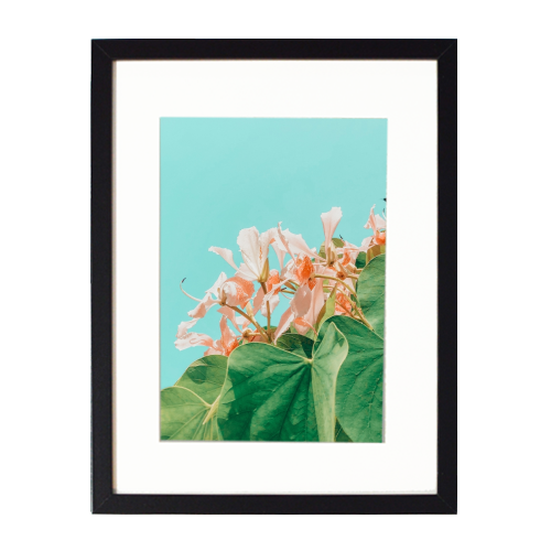Carlie - framed poster print by Uma Prabhakar Gokhale