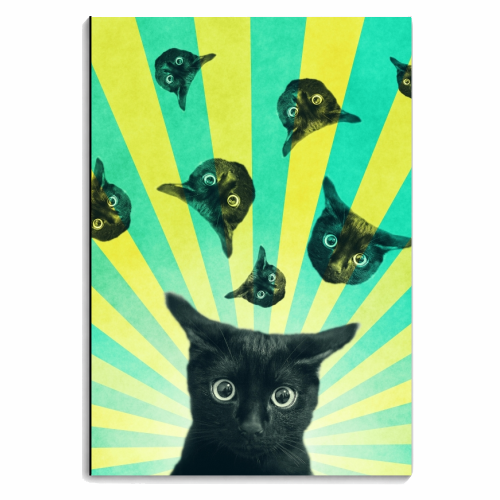 Cat explosion - personalised A4, A5, A6 notebook by DejaReve