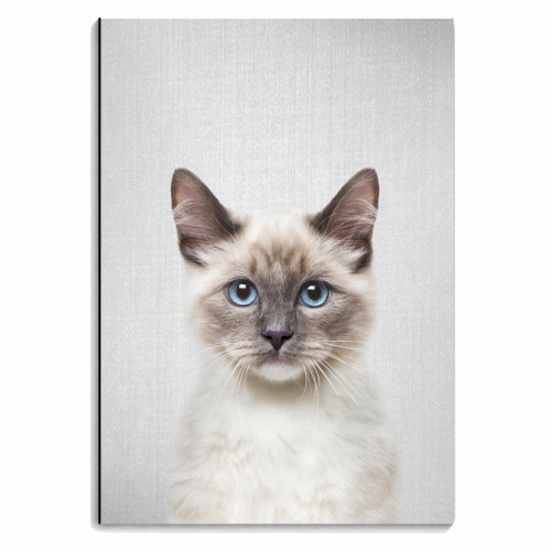 Cat - personalised A4, A5, A6 notebook by Gal Design