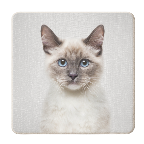 Cat - personalised beer coaster by Gal Design