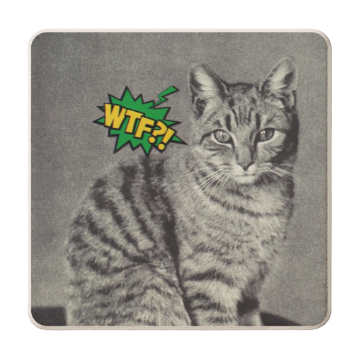 Catitude - personalised beer coaster by OhMC! Designs