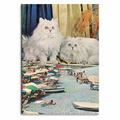 Cats beach - personalised A4, A5, A6 notebook by Maya Land