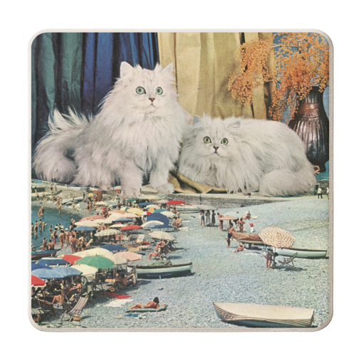 Cats beach - personalised beer coaster by Maya Land