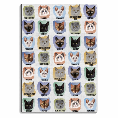 Cats! - personalised A4, A5, A6 notebook by Sarah Leeves