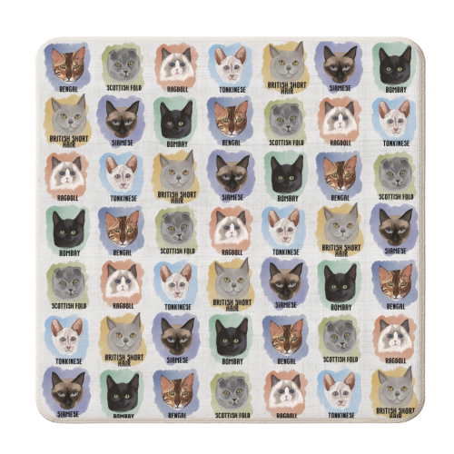 Cats! - personalised beer coaster by Sarah Leeves