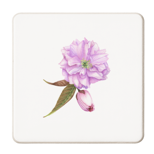 Cherry Blossom - personalised beer coaster by She Walks She Paints