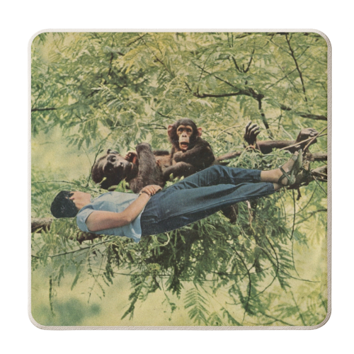 Chilling with the relatives - personalised beer coaster by Maya Land