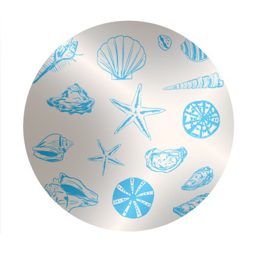 Coastal Shells & Starfish Line Art - Circle Sticker by EZbie