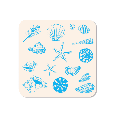 Coastal Shells & Starfish Line Art - Magnet by EZbie