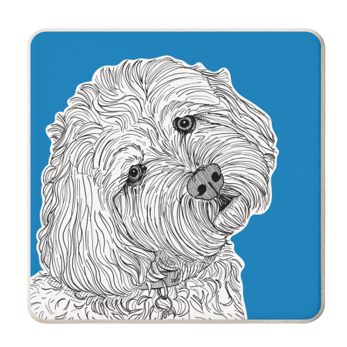 Cockapoo Dog Portrait ( blue background ) - personalised beer coaster by Adam Regester