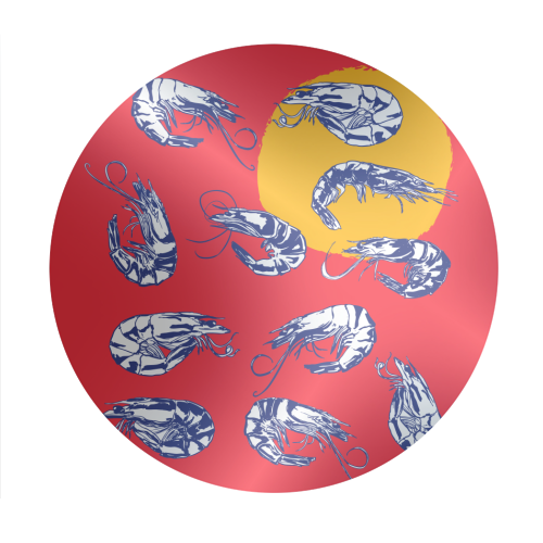 Colorful Retro Shrimp Minimalist Illustration - Circle Sticker by EZbie