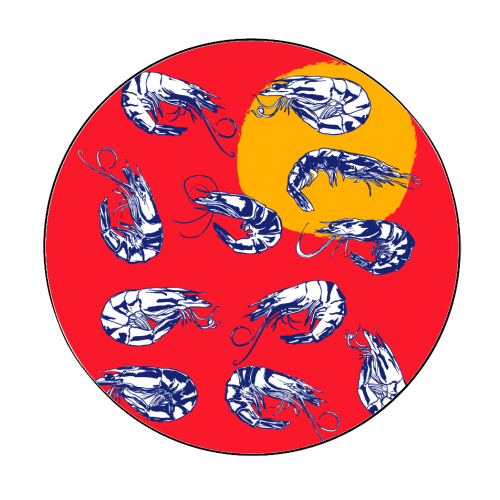 Colorful Retro Shrimp Minimalist Illustration - Circle Sticker by EZbie