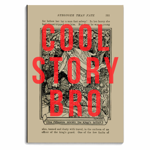 Cool Story Bro - personalised A4, A5, A6 notebook by The 13 Prints
