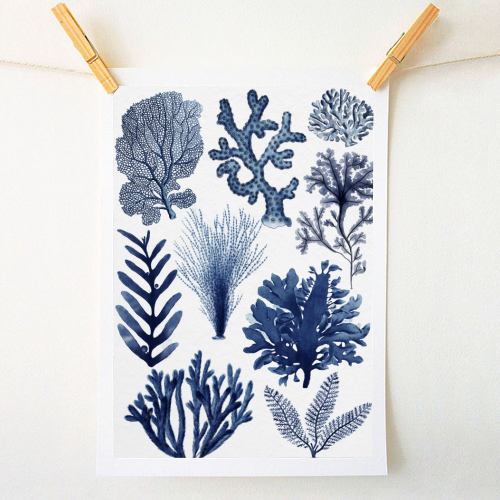 Corals & Seaweed Collection (Blue) - A1 - A4 art print by Gal Design