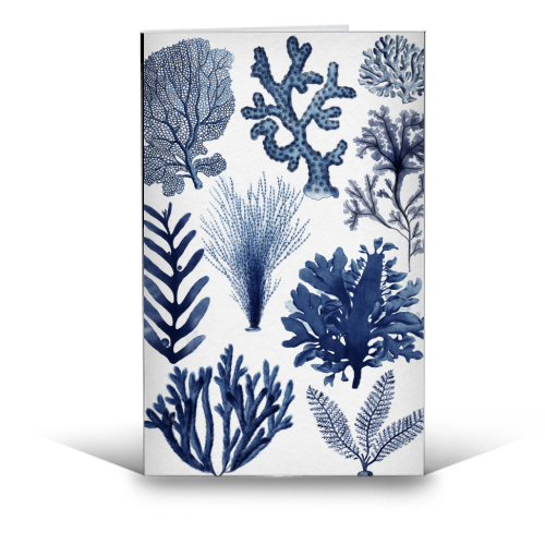 Corals & Seaweed Collection (Blue) - funny greeting card by Gal Design