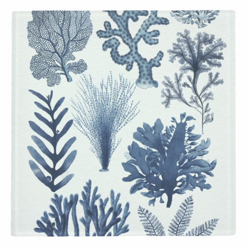 Corals & Seaweed Collection (Blue) - personalised beer coaster by Gal Design