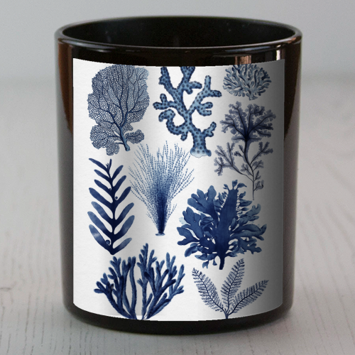 Corals & Seaweed Collection (Blue) - scented candle by Gal Design