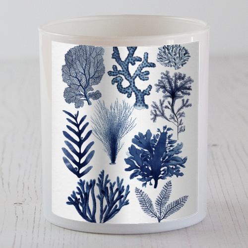 Corals & Seaweed Collection (Blue) - scented candle by Gal Design