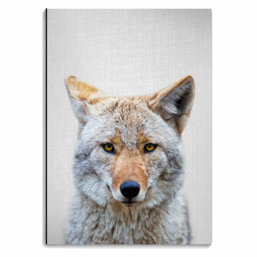 Coyote - Colorful - personalised A4, A5, A6 notebook by Gal Design