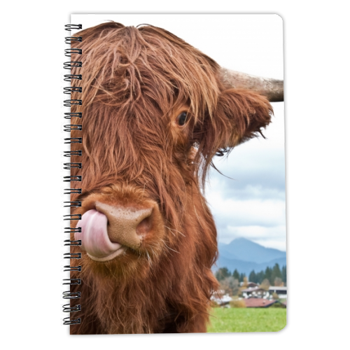 Cute Highland Cow #1 #wall #art - personalised A4, A5, A6 notebook by Anita Bella Jantz