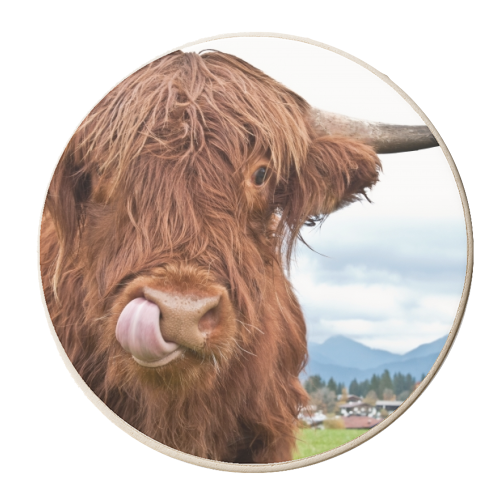 Cute Highland Cow #1 #wall #art - personalised beer coaster by Anita Bella Jantz