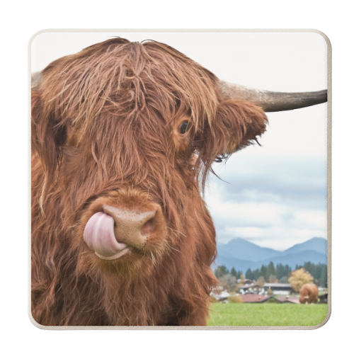 Cute Highland Cow #1 #wall #art - personalised beer coaster by Anita Bella Jantz