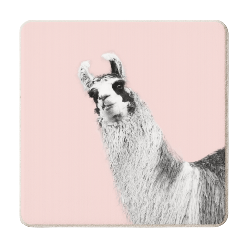 Cute Llama Blush Black & White #1 #wall #art - personalised beer coaster by Anita Bella Jantz
