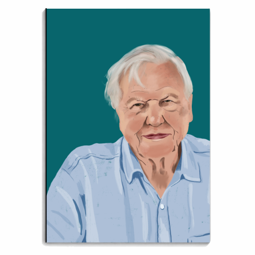 David Attenborough - personalised A4, A5, A6 notebook by Sarah Wilkinson