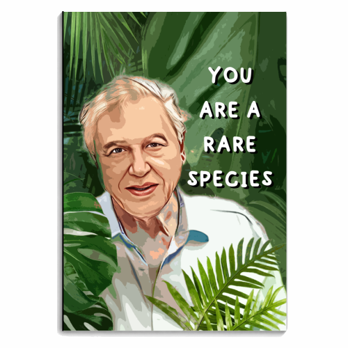 David in the Jungle - personalised A4, A5, A6 notebook by DOLLY WOLFE