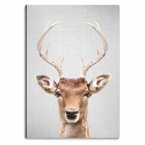 Deer 2 - Colorful - personalised A4, A5, A6 notebook by Gal Design