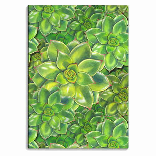 Delicious Succulents - personalised A4, A5, A6 notebook by Patricia Shea
