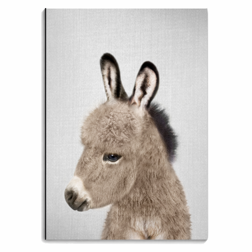 Donkey - personalised A4, A5, A6 notebook by Gal Design
