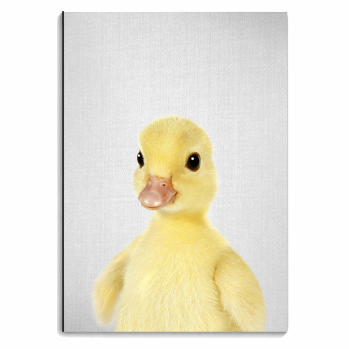 Duckling 2 - Colorful - personalised A4, A5, A6 notebook by Gal Design