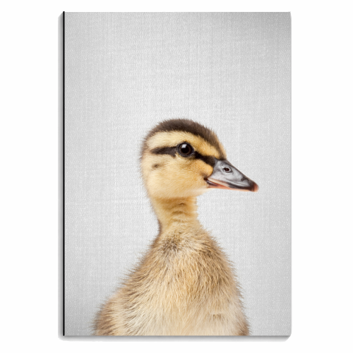 Duckling - personalised A4, A5, A6 notebook by Gal Design