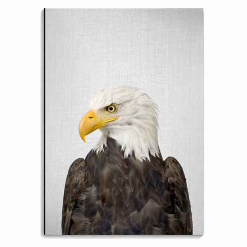 Eagle - Colorful - personalised A4, A5, A6 notebook by Gal Design