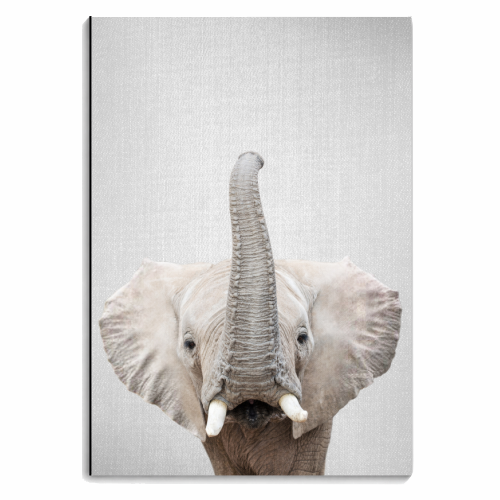 Elephant - personalised A4, A5, A6 notebook by Gal Design