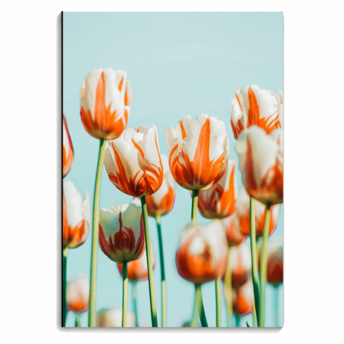 Estelle - personalised A4, A5, A6 notebook by Uma Prabhakar Gokhale