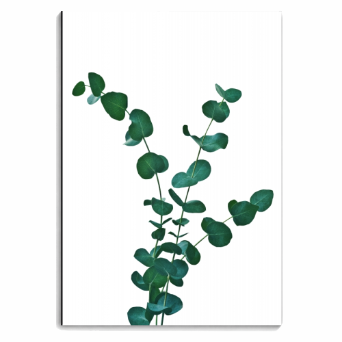 Eucalyptus Dream #1 #foliage #decor #art - personalised A4, A5, A6 notebook by Anita Bella Jantz