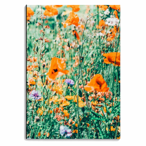 Eva - personalised A4, A5, A6 notebook by Uma Prabhakar Gokhale